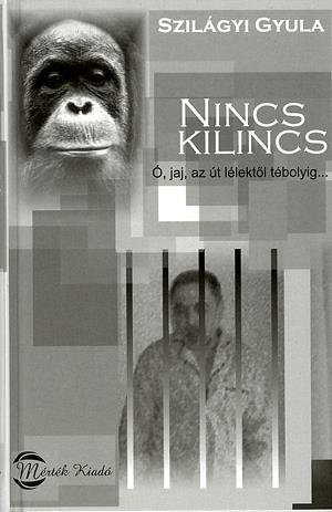 Nincs kilincs