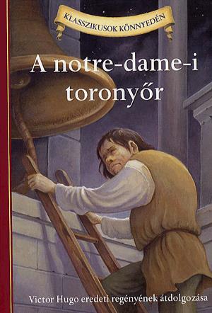 A notre-dame-i toronyőr