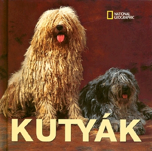 Kutyák