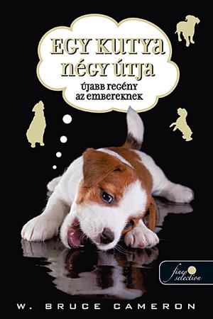 Egy kutya négy útja