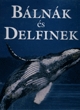 Bálnák és delfinek