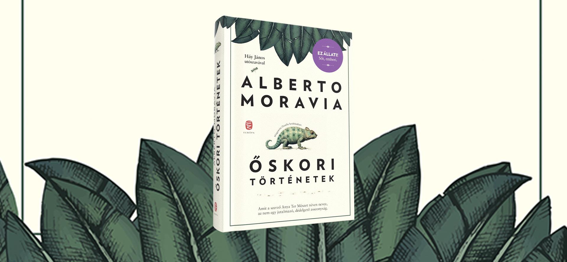 Őskori történetek – fordítás közben