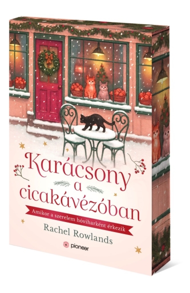 Karácsony a cicakávézóban