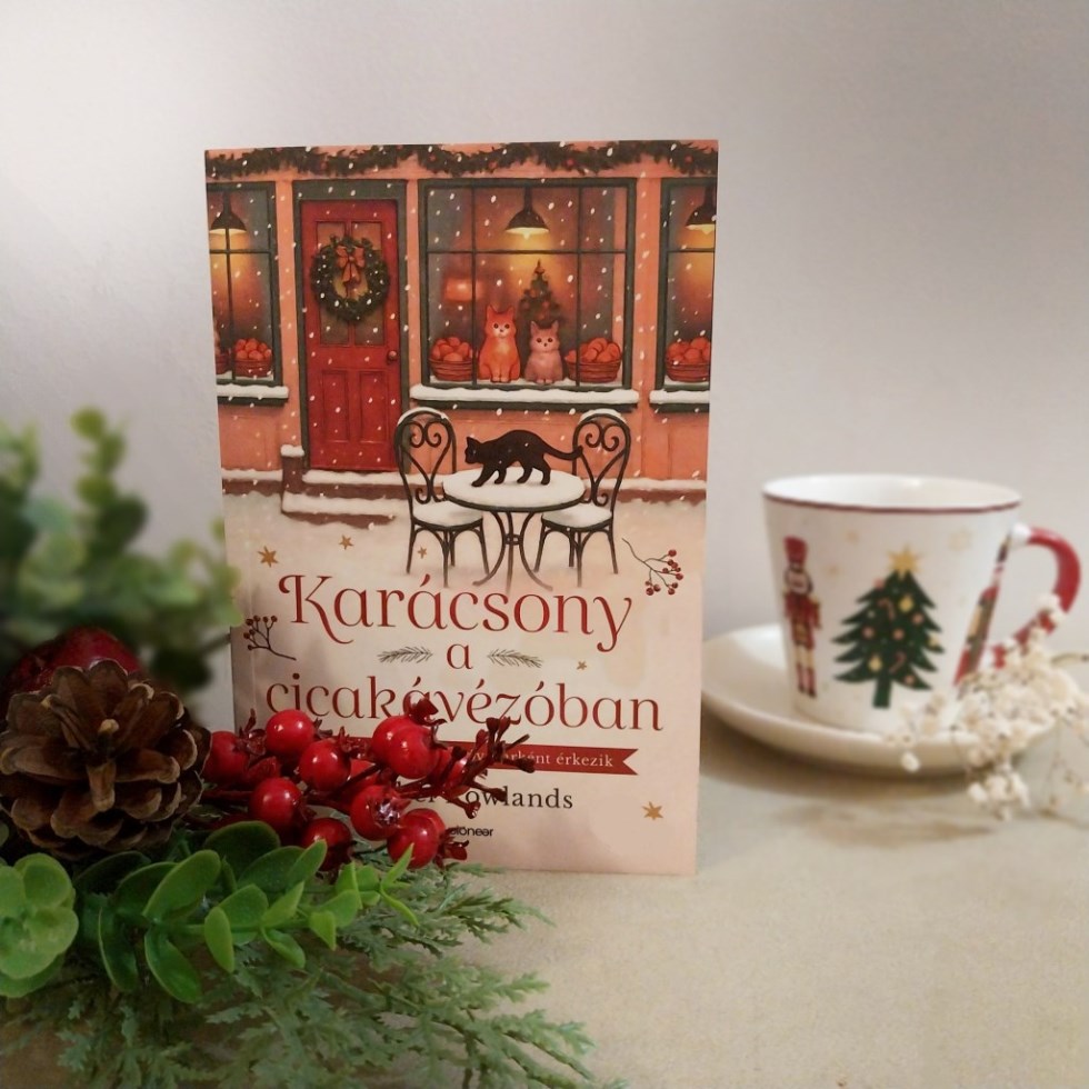 Egy különleges történet, mely egyből elhozza az ünnepi hangulatot.
Emmie és Jared a múltjuk elől menekülnek.