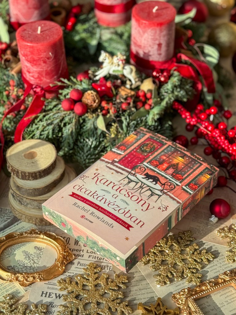 A könyv Emmie-ről szól, aki ideiglenesen besegít nagynénje hegyi, cicás kávézójában.