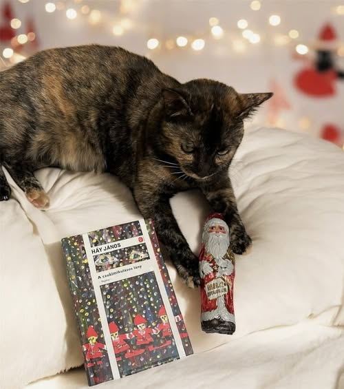 Ez egy illúziókereső, szeretetkereső felnövéstörténet, amelyben a sokszor életkort és nézőpontot váltó elbeszélő a felnőtt életbe való belépés küzdelmeiről mesél.
Az Apjának megfelelni vágyó, de mégse