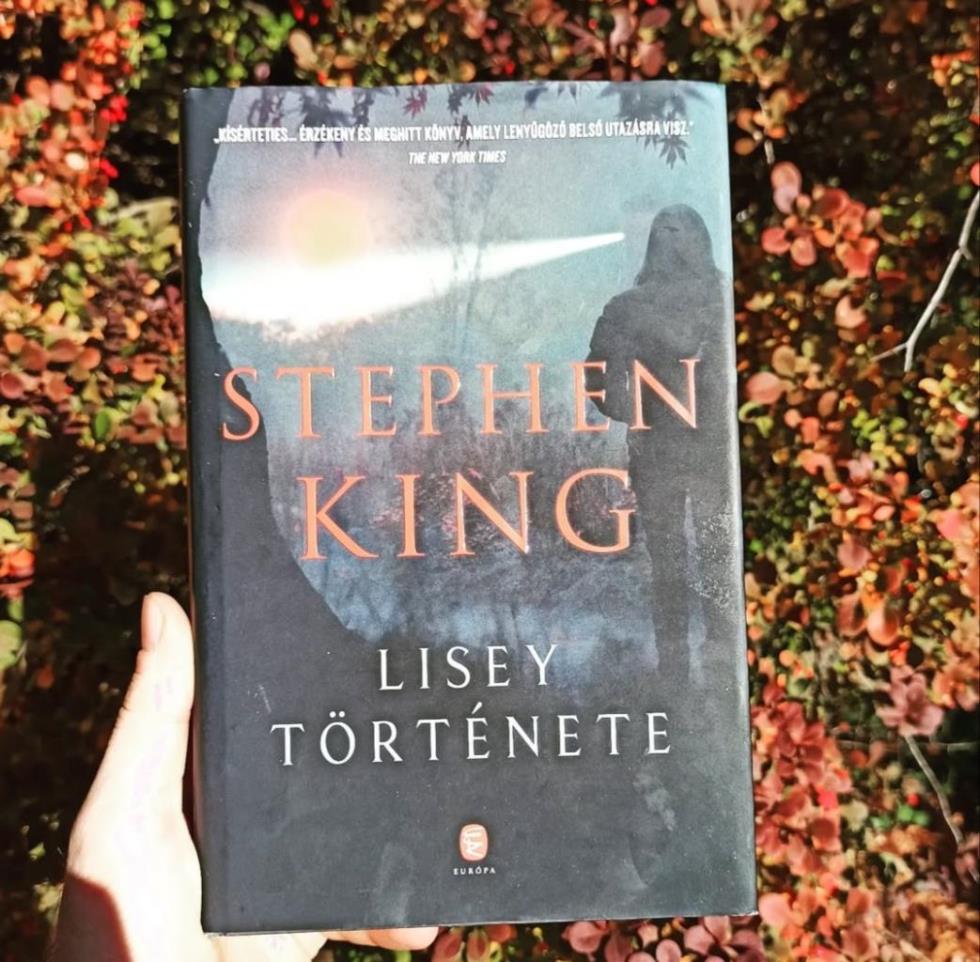 A Lisey története Stephen King egyik legszemélyesebb és leginkább alábecsült regénye.