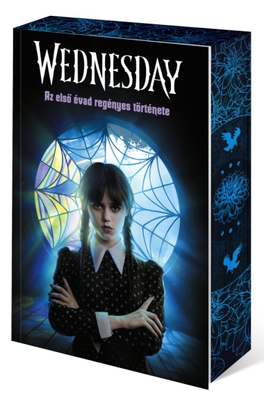 Wednesday - Az első évad regényes története